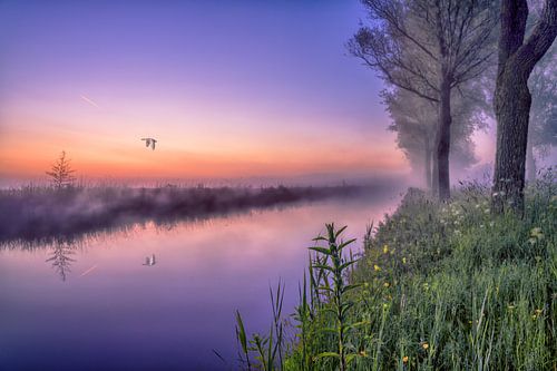 Mysterieuze vaart bij zonopkomst 1