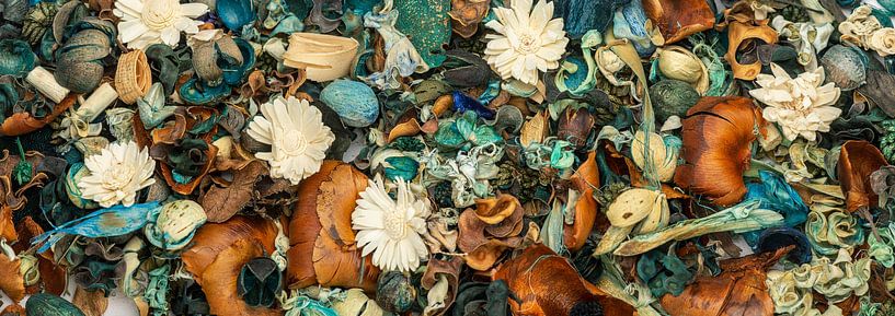 Gedroogde bloemen in een kleurencompositie van Alexander Baumann