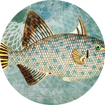Blue-Green Fish with Spots van Behindthegray