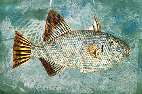 Blue-Green Fish with Spots van Behindthegray
