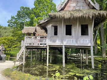 Chinese cottage in the gardens of Arcen by Anna Sasiadek