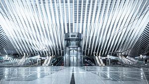 Bahnhof Lüttich-Guillemins – Architektur – Zoom-Burst