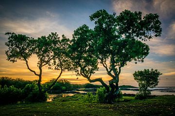 Zonsopgang in Hawaii