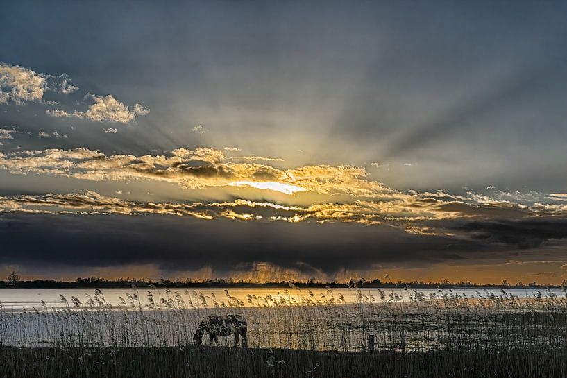 The sheltering sun by Gerrit Kuyvenhoven