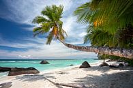 Der schönste tropische Strand auf den Seychellen von Krijn van der Giessen Miniaturansicht
