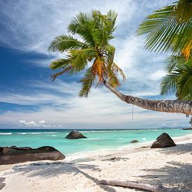 Het mooiste tropische strand van de Seychellen van Krijn van der Giessen