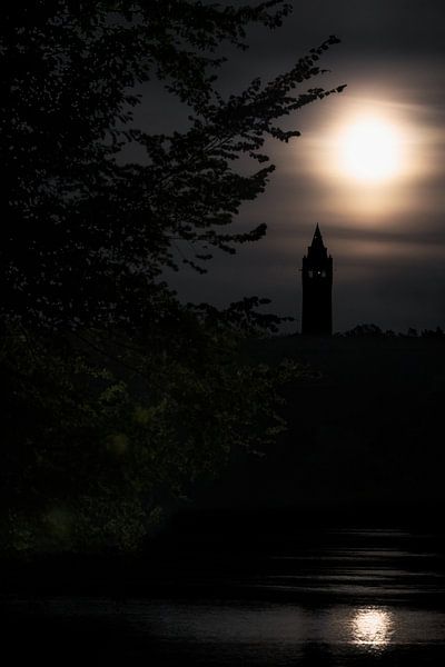 Tour de Grunewald à Berlin par wukasz.p
