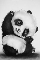 Tekening Panda
