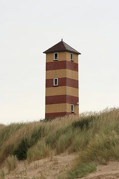 Vuurtoren Dishoek van MSP Canvas