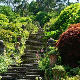 Treppe im Garten zum Bantry House von Thomas Zacharias