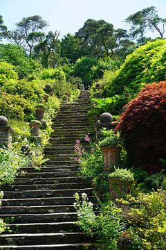 Treppe im Garten zum Bantry House