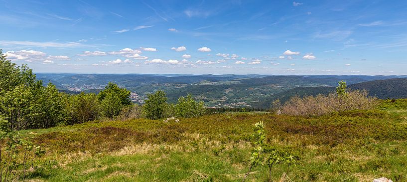 Panoramisch uitzicht in het Moezeldal vanaf de Elzas Belchen van Alexander Wolff