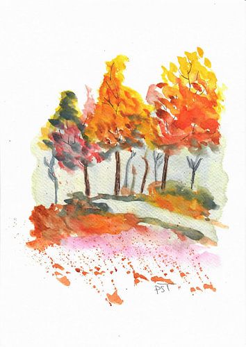 Colourful autumn in the forest