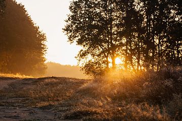 Sonnenaufgang im Heideland von Stephanie Kweldam-Beugelink