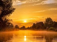 Zonsopkomst in de Biesbosch