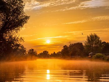 Lever de soleil dans le Biesbosch