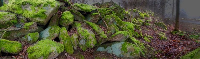 Roches mousseuses par Leopold Brix