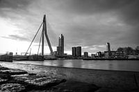 Kop van Zuid