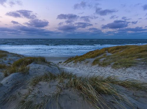 Strand van Texel