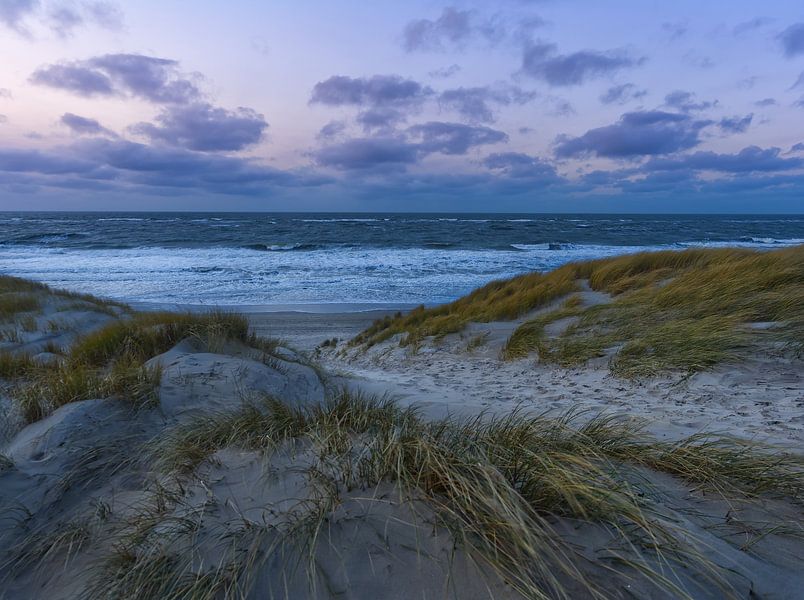 Beach of Texel by Pictures by Van Haestregt