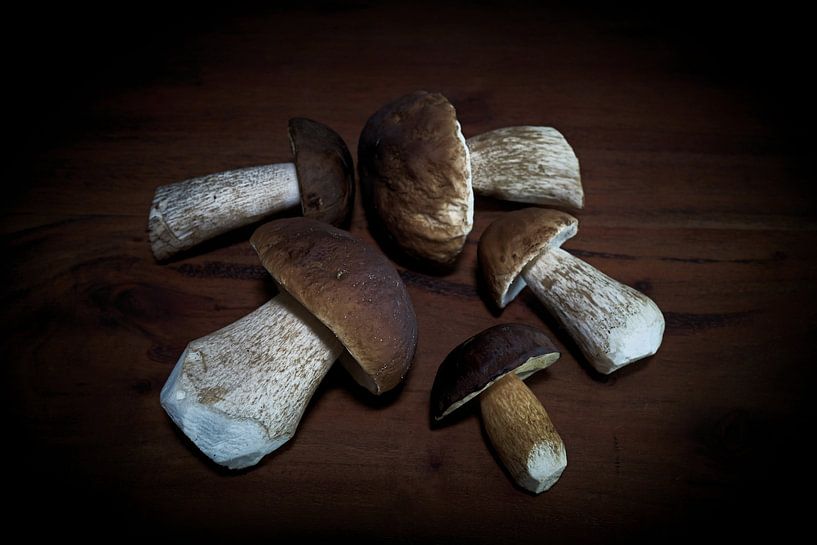 Birch mushroom, chestnut boletus and porcini mushrooms by Heiko Kueverling