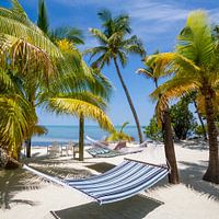 FLORIDA KEYS Wellness