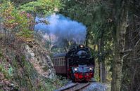HSB 99-6001 Selketalbahn van Marcel Timmer thumbnail