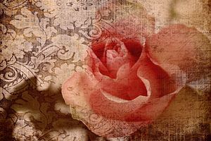 Bella Rosa