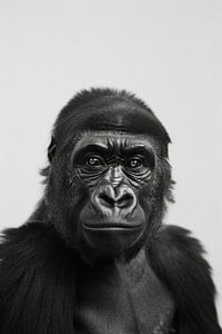 Gorilla-Porträt in Schwarz-Weiß