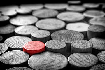 Gemeinsam getrennt leben