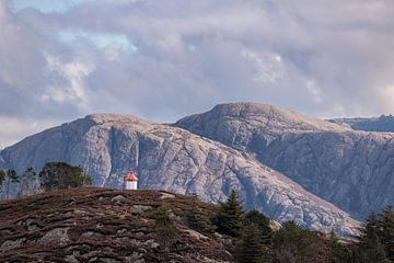 Stages of the elements