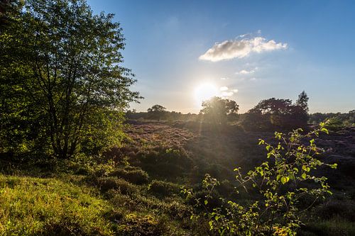 Bakkeveense heide in de zonsondergang
