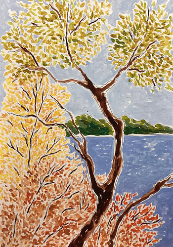 Autumn Lake Landscape