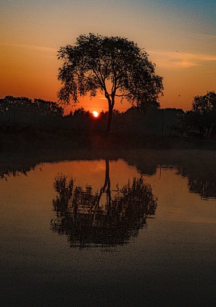 Zonsopkomst van Freddie de Roeck