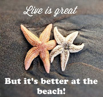 Life is Great, But it's better at the beach sur Toekie -Art