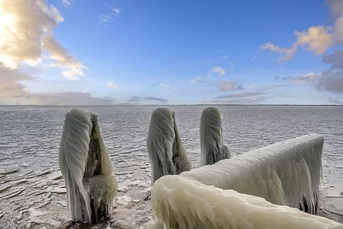 Winter on the IJsselmeer