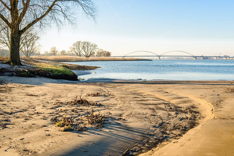 Beach at the Dutch river by Ruud Morijn