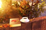 Autumn mood at the wooden windowsill by Besa Art thumbnail
