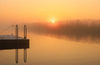 Sfeervolle zonsopkomst tijdens een koude ochtend in de polder van Waterland