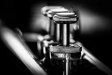 Trumpet valves by Piet Spierings