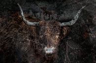Scottish highlander digital painting by Steven Dijkshoorn thumbnail