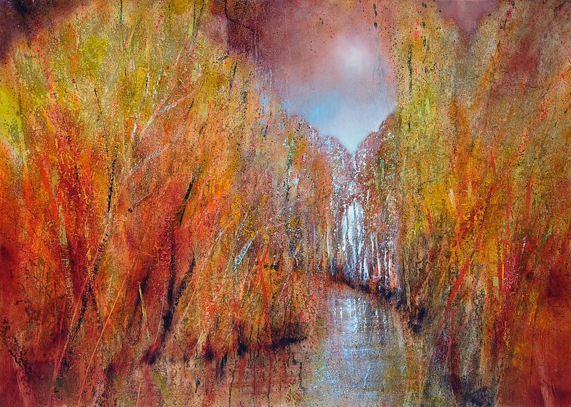 Oktoberlicht von Annette Schmucker