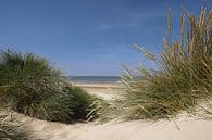 Dune, beach and sea by Peter Bartelings thumbnail