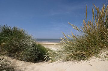 Dune, beach and sea by Peter Bartelings