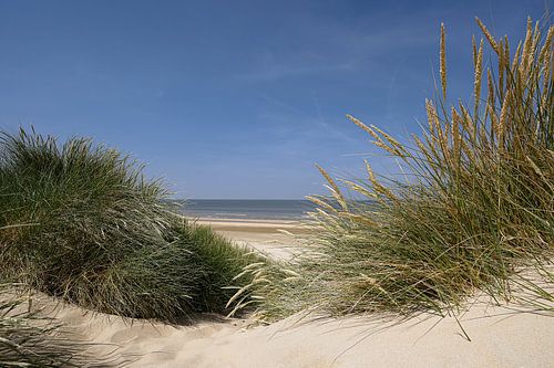 Dune, beach and sea