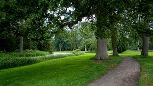 Twents landschap van Rick Van der Poorten