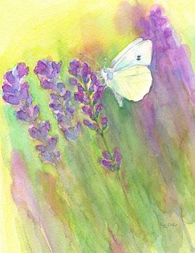 White butterfly meets purple lavender by Karen Kaspar