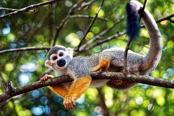 Ein entspannender Moment