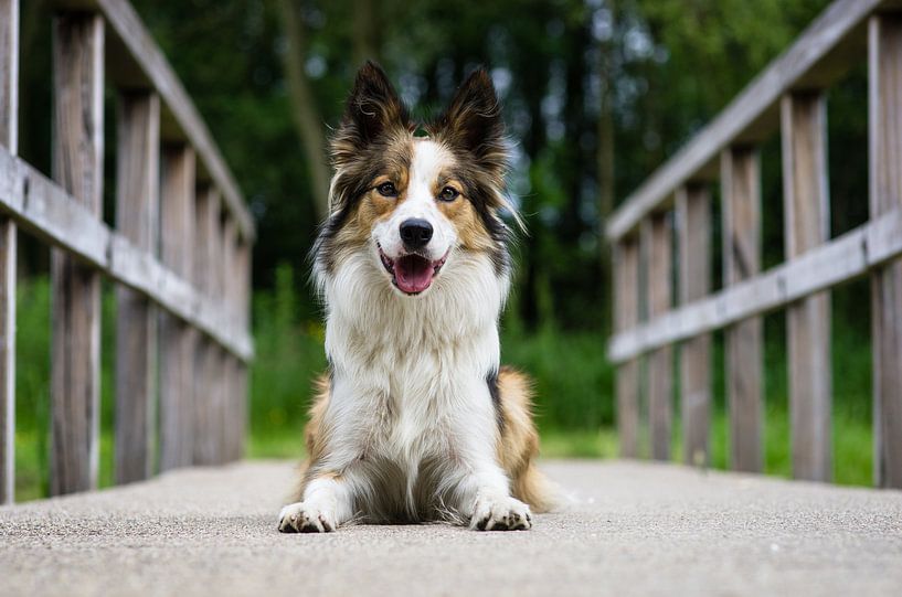 On the bridge by Karen Havenaar