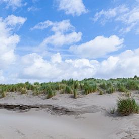 Hollandse duinen van Irma Marneth